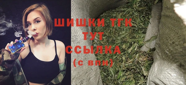 spice Няндома
