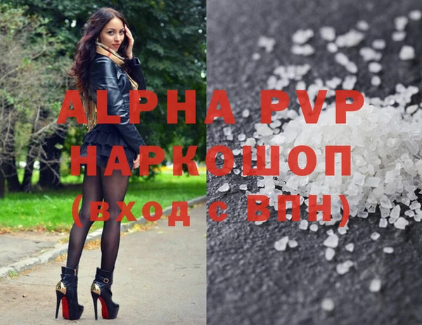 spice Няндома