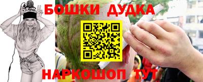 сатива Гатчина