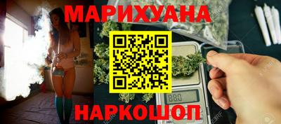 сатива Гатчина