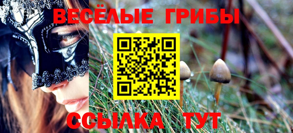 что такое   Галлюциногенные грибы Magic Shrooms  Вход с VPN  Губкинский 