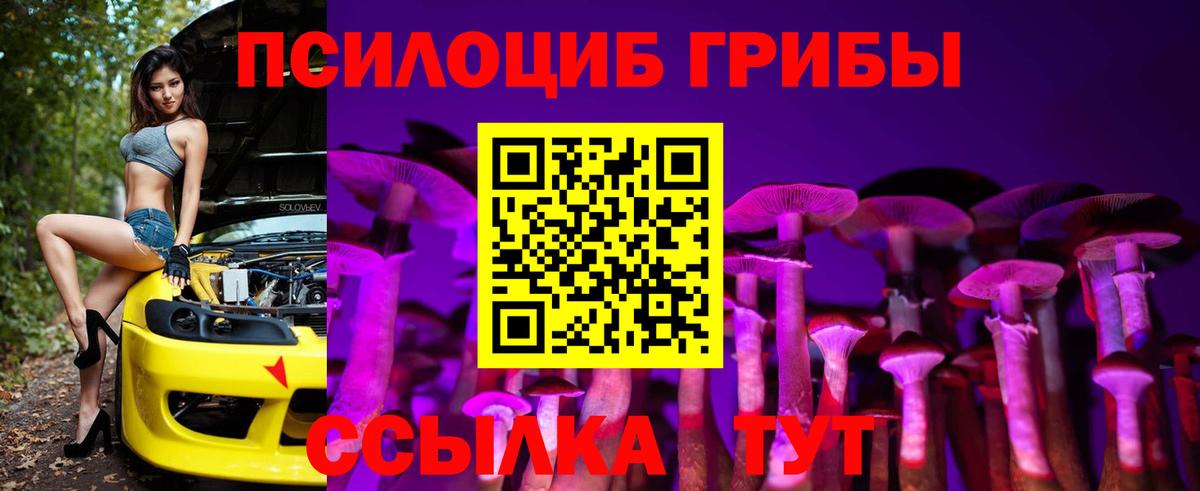 Галлюциногенные грибы Magic Shrooms Губкинский