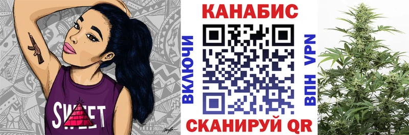 что такое Губкинский Каннабис OG Kush